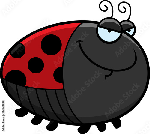 Sly Cartoon Ladybug