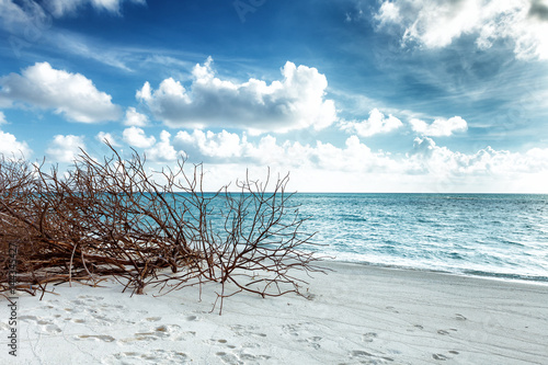 Fototapeta Naklejka Na Ścianę i Meble -  Abandoned Beach at Maldives island Fulhadhoo with white sandy beach and sea