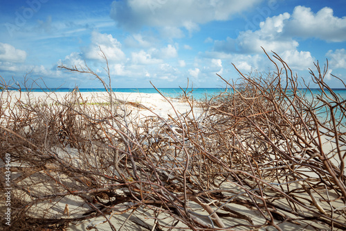 Abandoned Beach at Maldives island Fulhadhoo with white sandy beach and sea photo