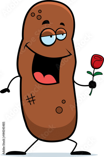 Cartoon Turd Rose