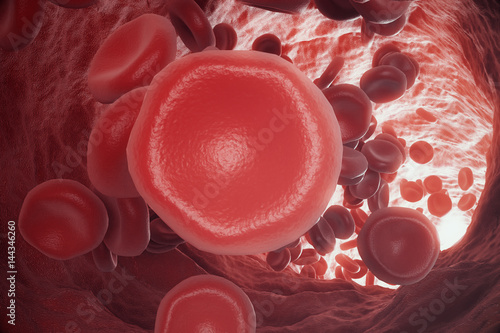 Obraz na plátně Red blood cells in vein or artery, flow inside inside a living organism, 3d rend