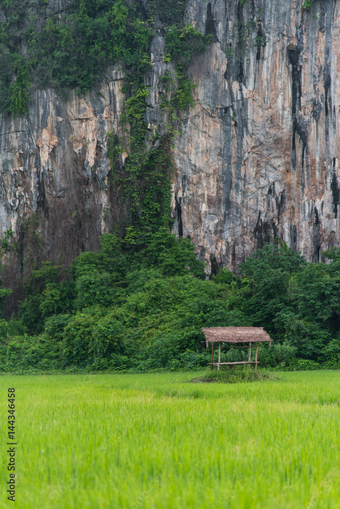 Tranquil hut with the mountain background at Noen Maprang district of Phitsanulok Province, northern Thailand Tranquil hut with the mountain background at Noen Maprang district of Phitsanulok Province, northern Thailand