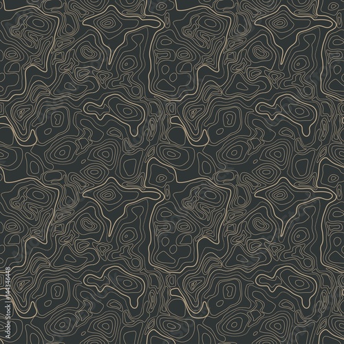 Vector abstract earth seamless relief map. Generated conceptual elevation map. Isolines of landscape surface elevation. Geographic map conceptual design. Elegant background for presentations.