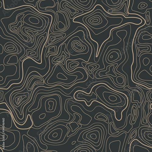 Vector abstract earth seamless relief map. Generated conceptual elevation map. Isolines of landscape surface elevation. Geographic map conceptual design. Elegant background for presentations.