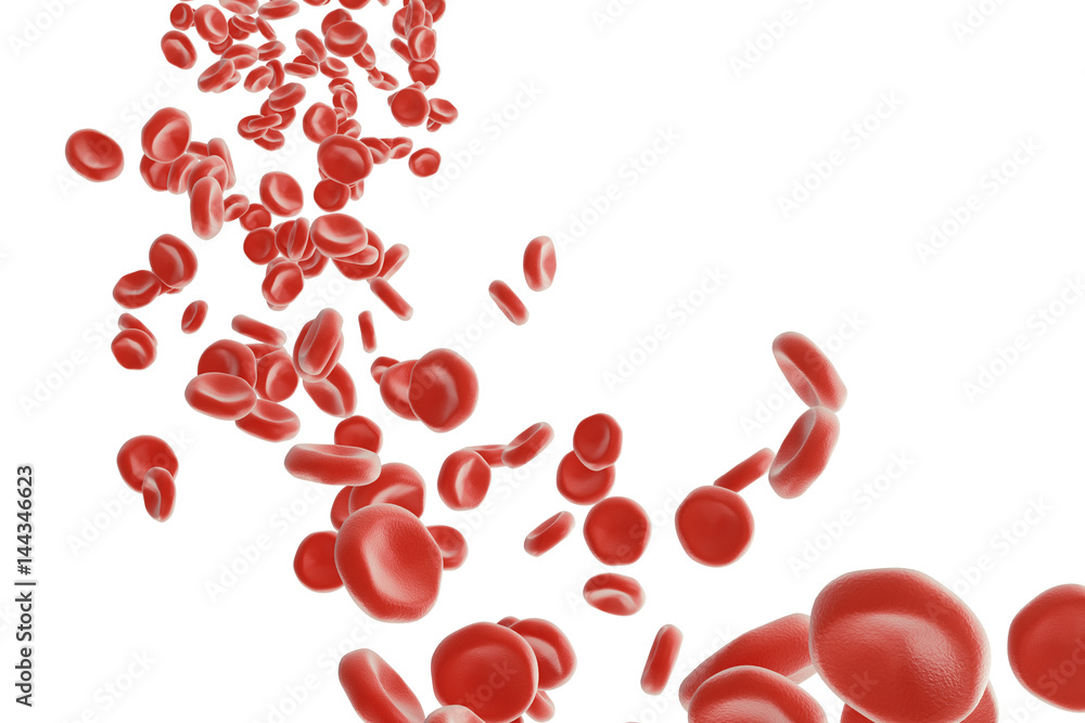 Red blood cells: responsible for oxygen carrying over, regulation pH ...