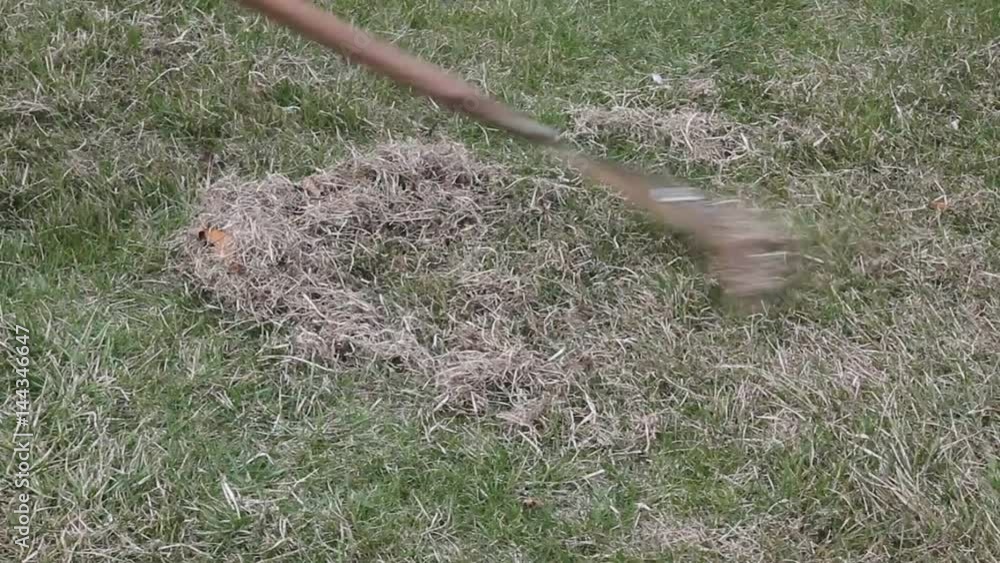 Spring care for lawn, manual scarification of lawn with fan rakes