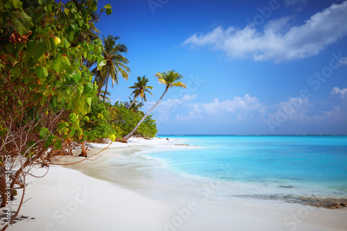 Fototapeta Naklejka Na Ścianę i Meble -  Beach at Maldives island Fulhadhoo with white sandy idyllic perfect beach and sea and curve palm