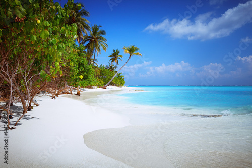 Beach at Maldives island Fulhadhoo with white sandy idyllic perfect beach and sea and curve palm