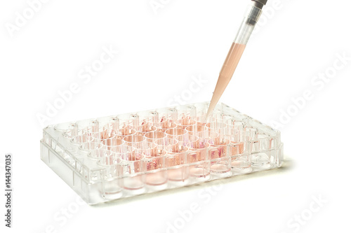 Photography Cell culture plate isolated on white background