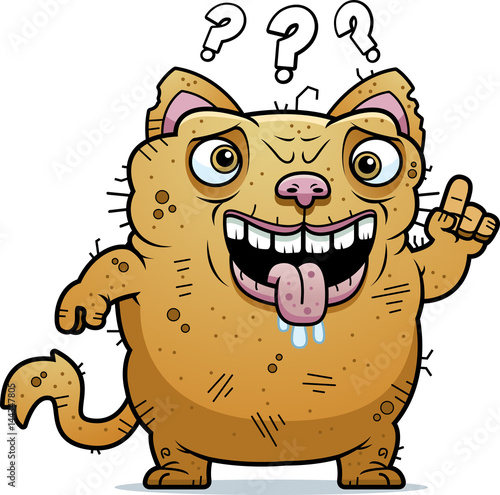 Confused Ugly Cat