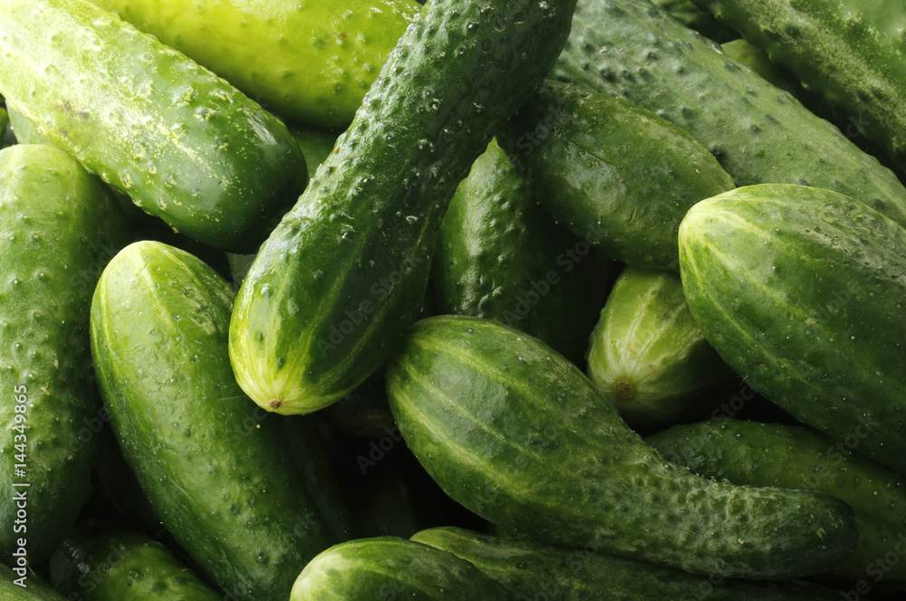 cucumbers background cucumbers background