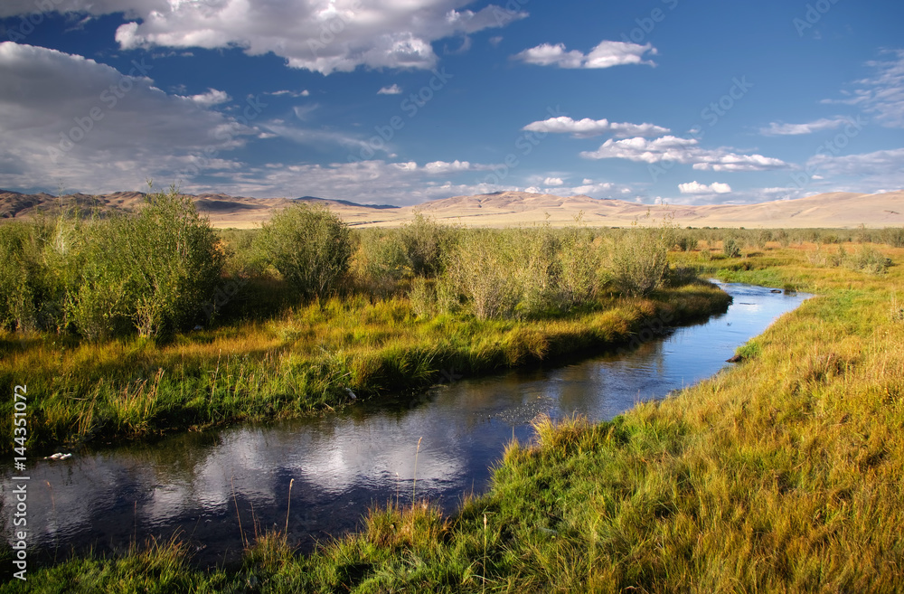 River stream on desert wild mountain plateau with the green yellow dry grass and bush trees at the background of the sunset hills under a blue sky with white clouds,Chuya steppe Altai, Siberia, Russia River stream on desert wild mountain plateau with the green yellow dry grass and bush trees at the background of the sunset hills under a blue sky with white clouds,Chuya steppe Altai, Siberia, Russia
