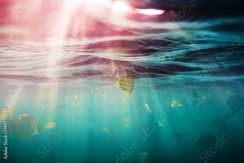 Sun rays in underwater and jellyfish. Ocean pattern in water © artifirsov