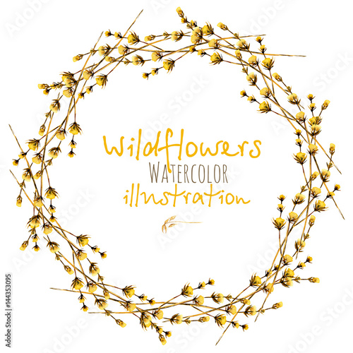 Wreath, circle frame border with yellow dry wildflowers hand drawn in watercolor on a white background photo