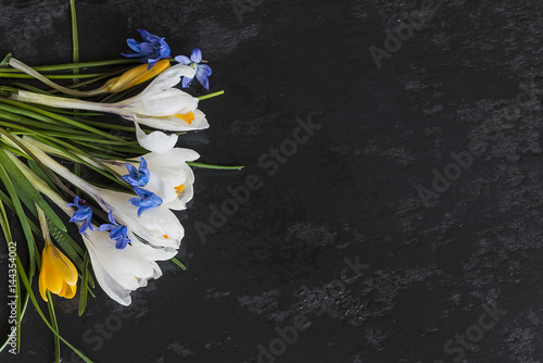 bouquet of different snowdrops on wet slate background photo
