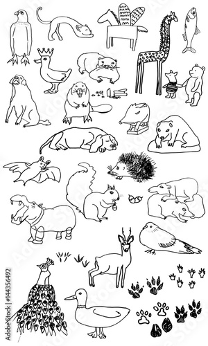 Obraz na płótnie animals ilustration set