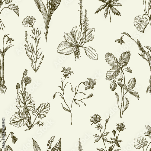 pattern of the sketches wildflowers