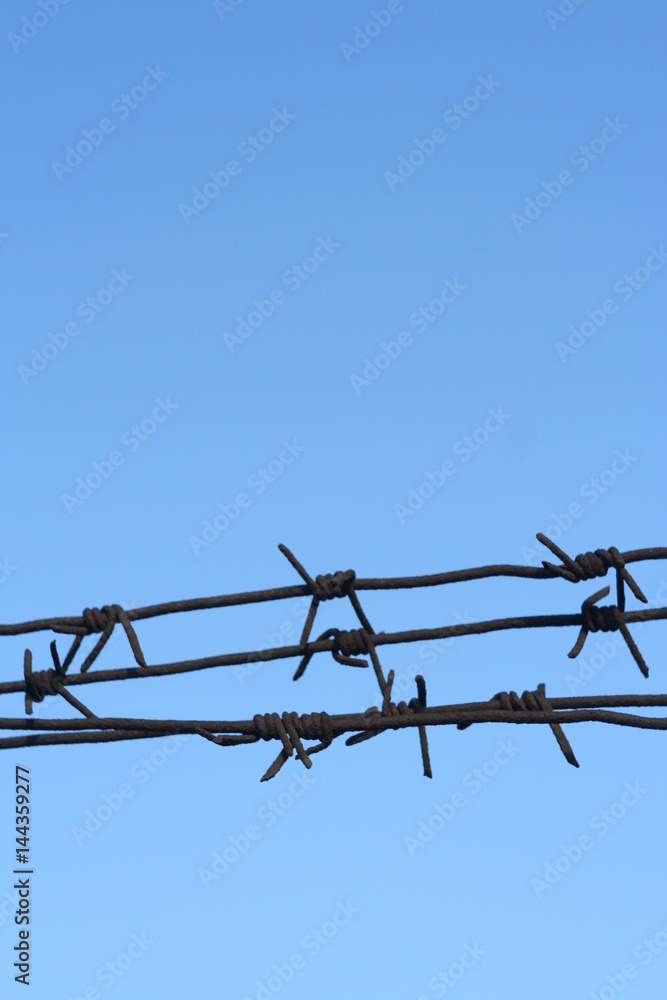 Barbed wire fence against the blue sky