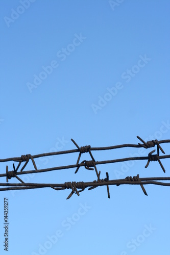Obraz na płótnie Barbed wire fence against the blue sky w salonie