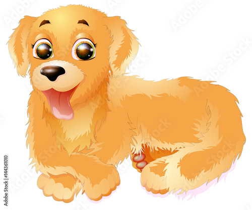 Golden Retriever vector illustration, isolated on white background.