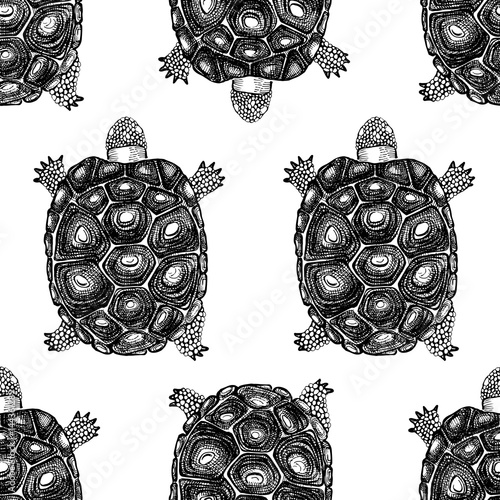 Seamless pattern with hand drawn turtles