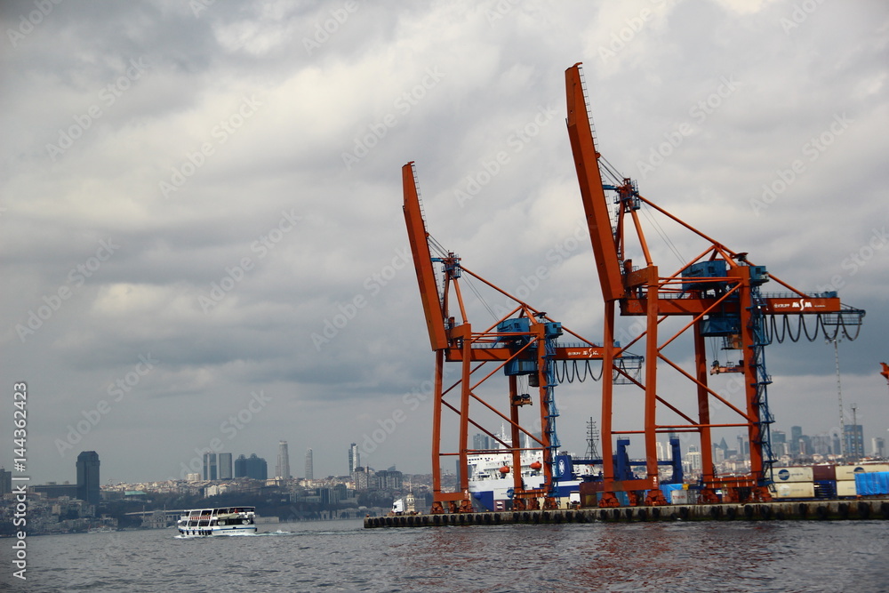 Fototapeta premium Crane on Bosphorus