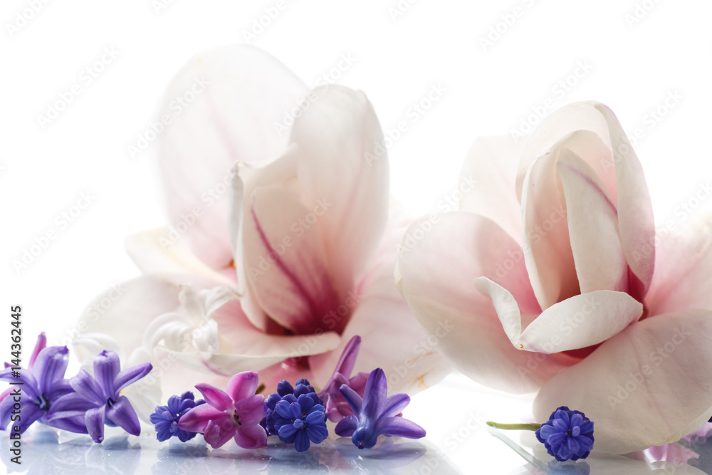 Set of spring flowers with magnolia Set of spring flowers with magnolia