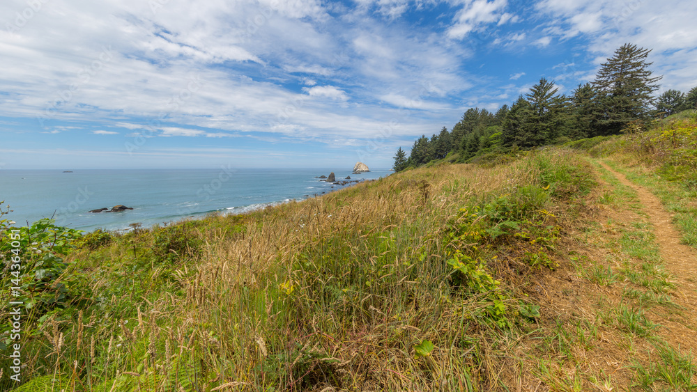 View of the beach from the cliff. Beautiful blue sea. Redwood national and state parks. California, USA
