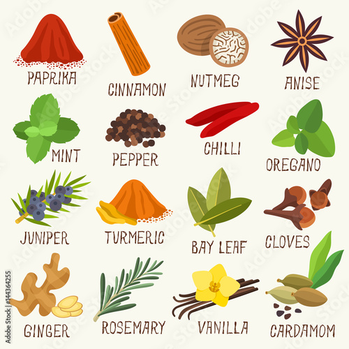 Spices vector set