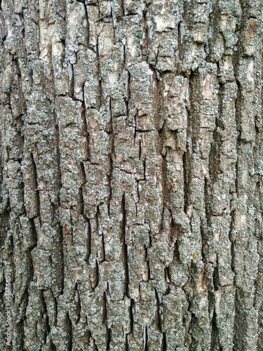 texture