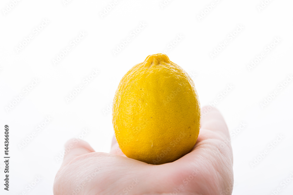 lemon fruit isolated on white background lemon fruit isolated on white background