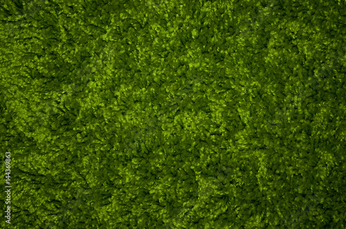 green shaggy carpet texture