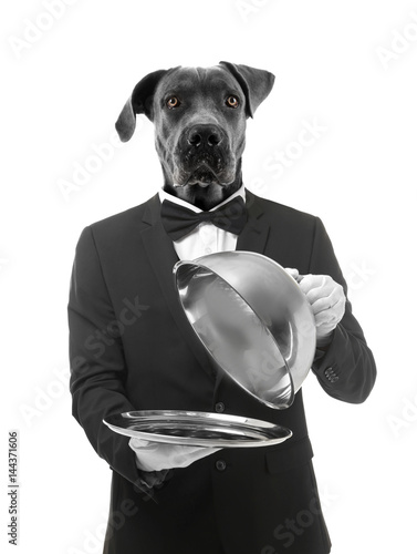 Handsome waiter holding metal tray with cover on white background