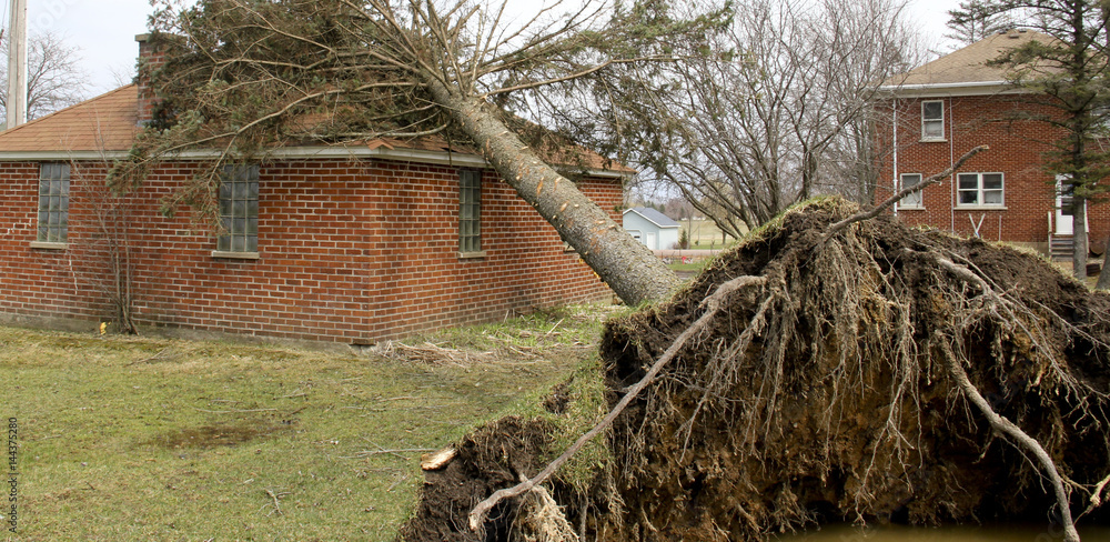 Wind and Tornado puts a tree on a house