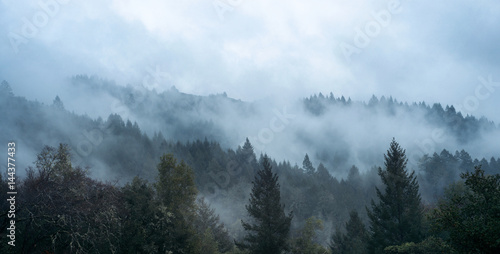 Mist among the Trees and Hills