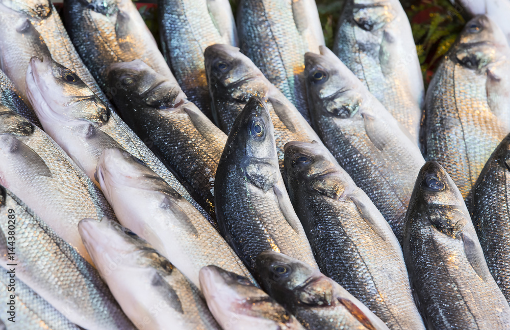 Background of sea fish close-up on the market in the port Background of sea fish close-up on the market in the port
