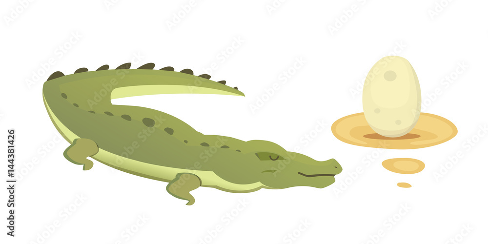 Cute Crocodile set. Aligator vector cartoon illustration Cute Crocodile set. Aligator vector cartoon illustration