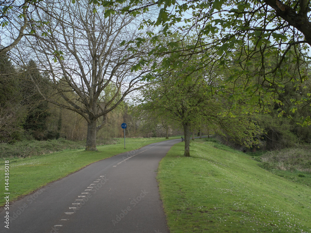 Spring countryside in Northern Ireland