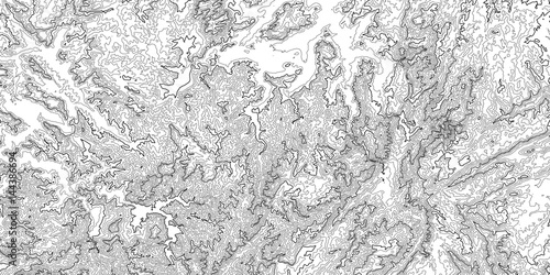 Vector abstract grayscale earth relief map. Generated conceptual elevation map. Isolines of landscape surface elevation. Geographic map conceptual design. Elegant background for presentations.
