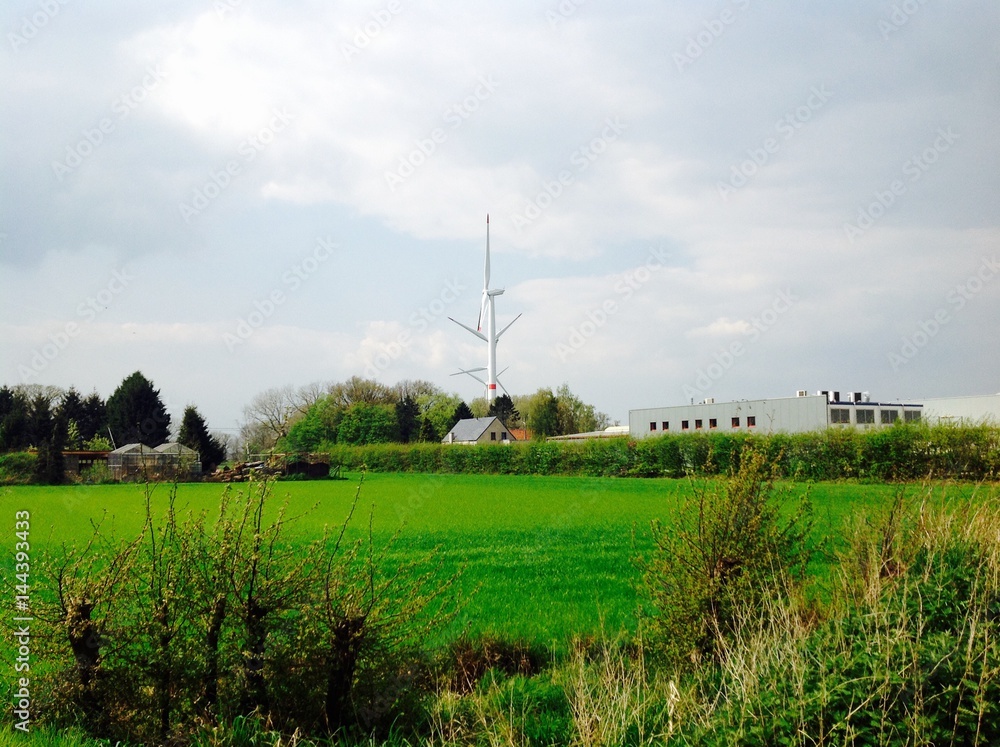 Beautiful green nature with blue sky and wind turbine background Beautiful green nature with blue sky and wind turbine background