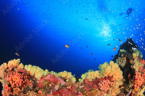 Scuba diver swims over coral reef in ocean