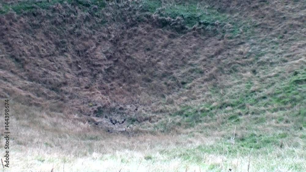 Soil with grass in New Zealand. Scenic peaks and ridges. Beautiful background of amazing nature. Travel and tourism in the world of wildlife. Soil with grass in New Zealand. Scenic peaks and ridges. Beautiful background of amazing nature. Travel and tourism in the world of wildlife.