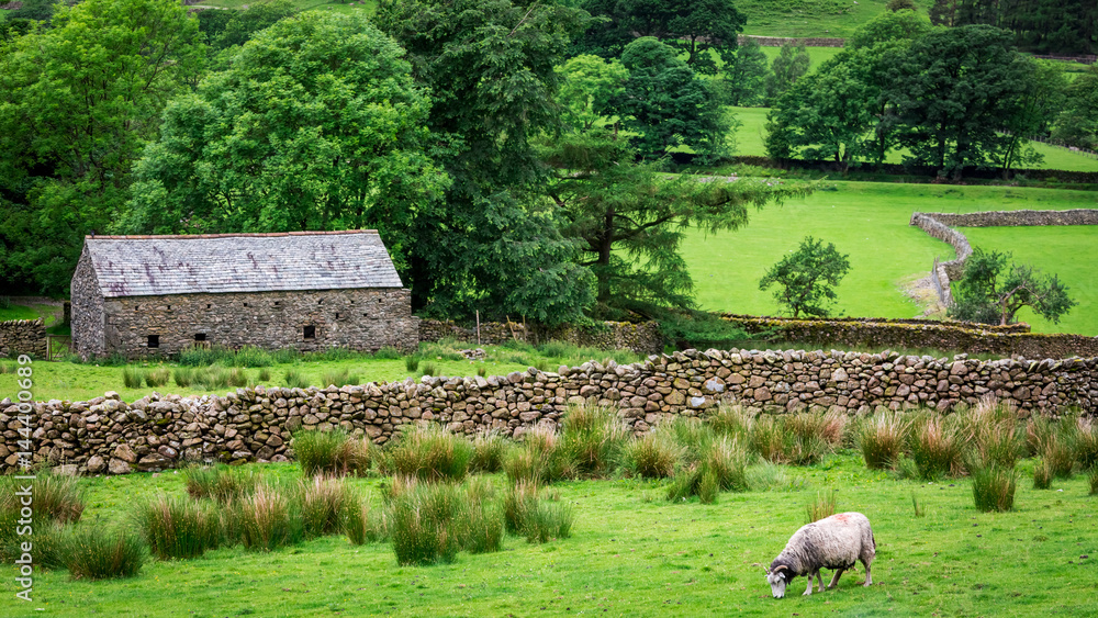 Fototapeta premium Old rocky home and sheep on green pasture, UK