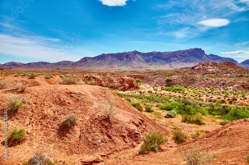 Incredibly beautiful landscape in Southern Nevada, Valley of Fire State Park, USA. photo