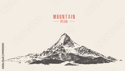 Vector mountain peak pine forest hand drawn