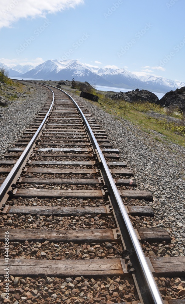 Tracks in Alaska