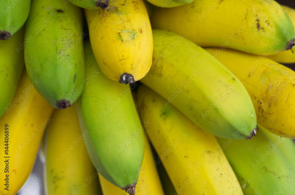 Banana bunch of growing ripe yellow and green