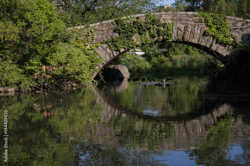 Gapstow bridge over the river and plants in summertime, Central Park, New York