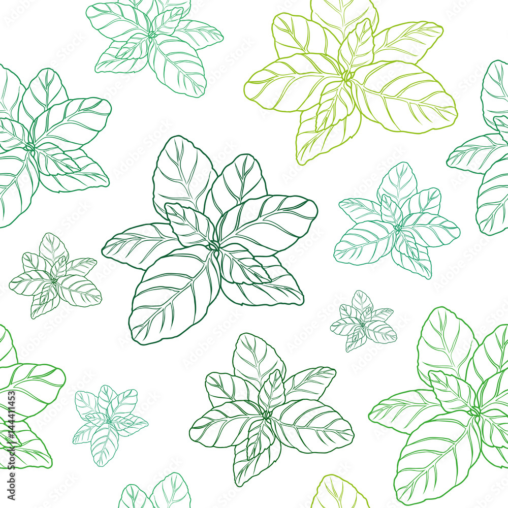 basil  green seamless pattern