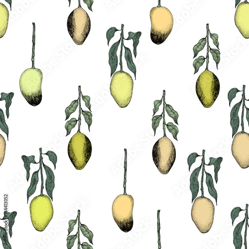 Mango tree vintage seamless pattern. Botanical mango fruit background. Engraved mango. Vector illustration